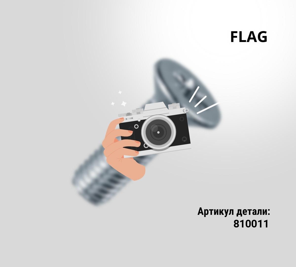 САЛЬНИК СЕКТОРА ГАЗА ТНВД VE (810561)